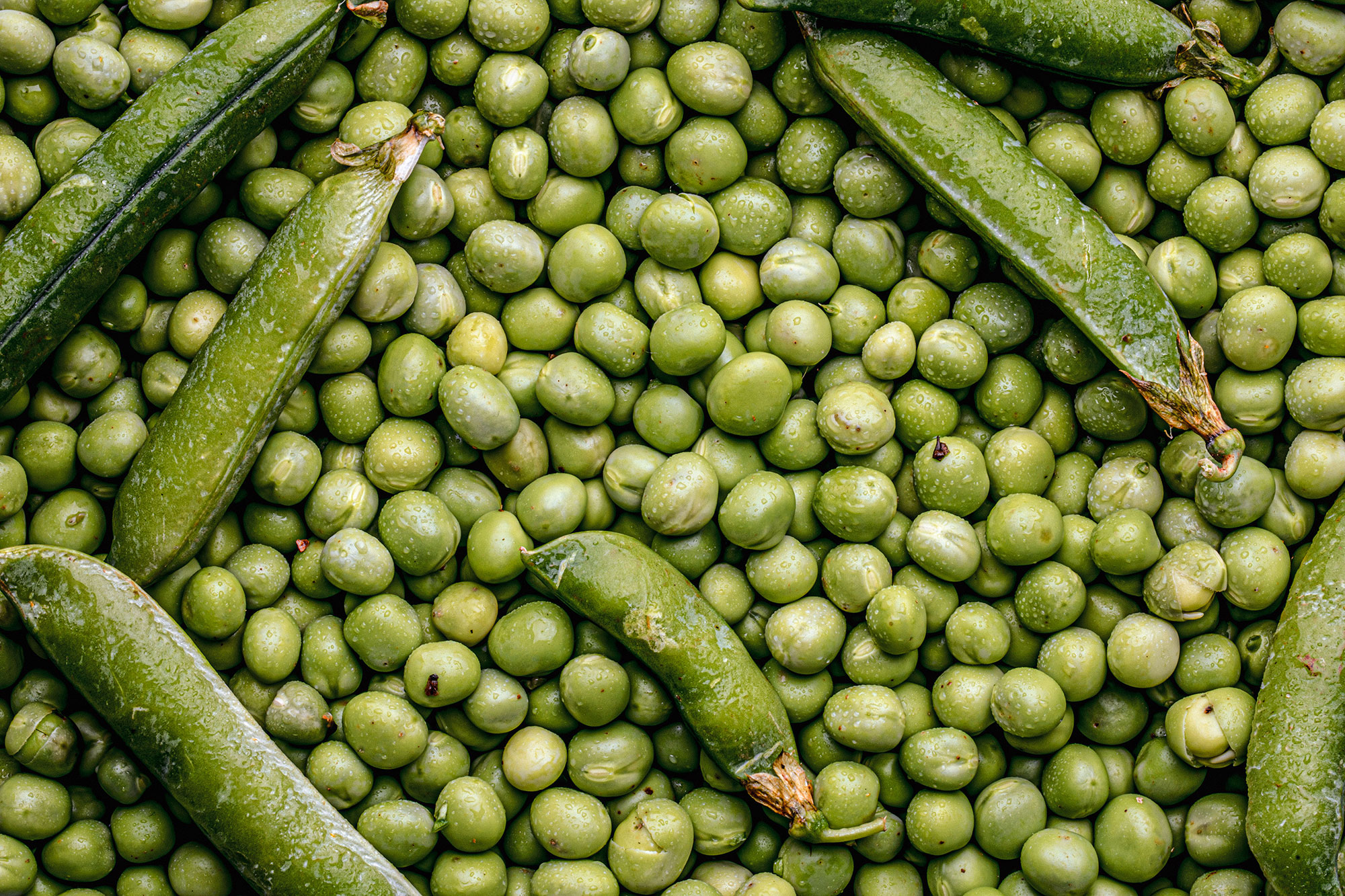 Katija Zivkovic food photographer full frame food photography 3